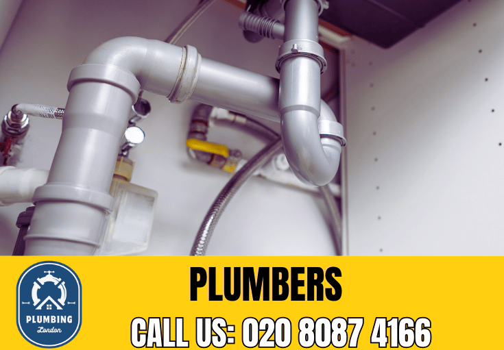  plumber Farringdon